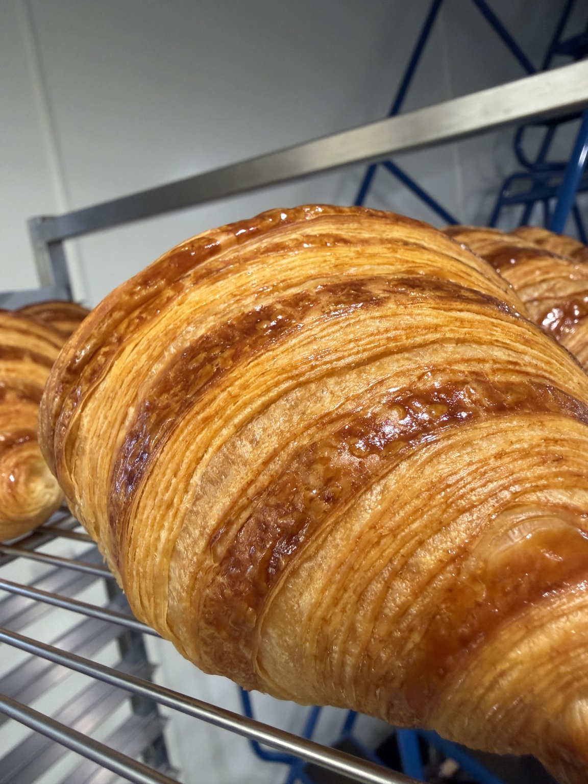 Close view of a corrected croissant showing precise laminated layers